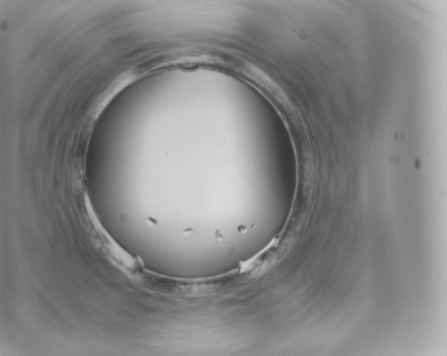 X0000070381377200606301910