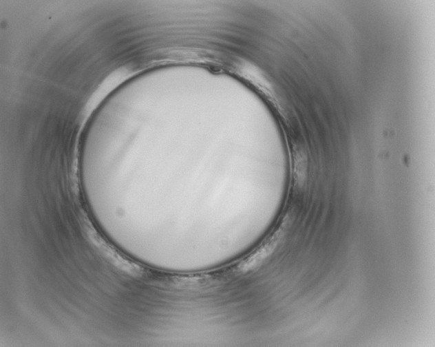 X0000070381378200606301910