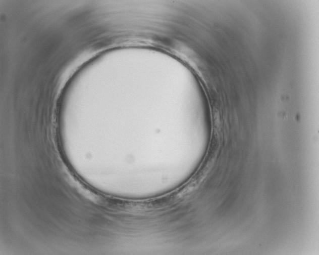 X0000070381379200606301910