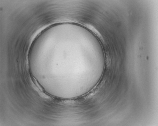 X0000070381380200606301910