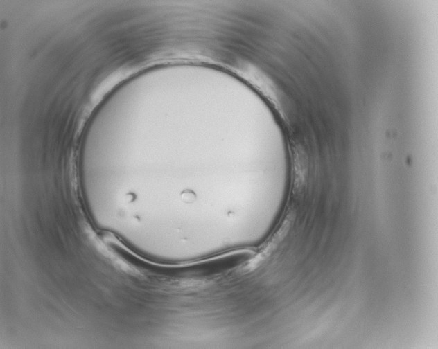 X0000070381382200606301910