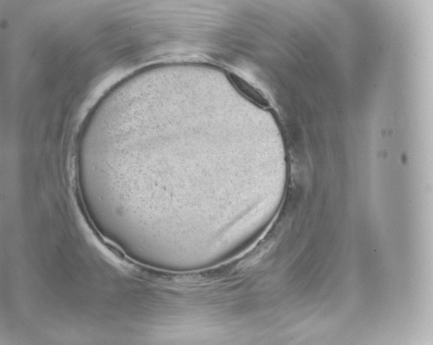 X0000070381383200606301910