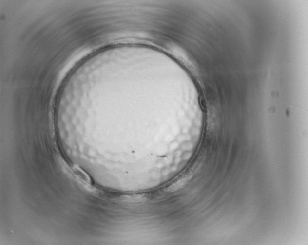 X0000070381384200606301910