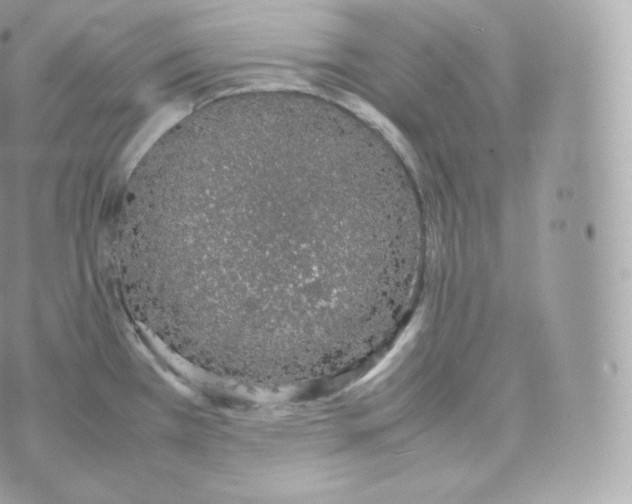 X0000070381385200606301910