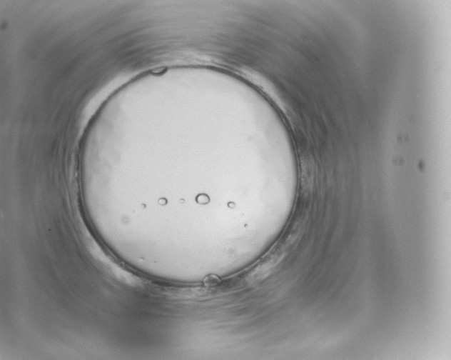 X0000070381387200606301910