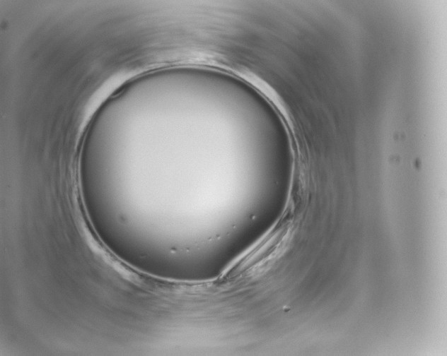 X0000070381389200606301910