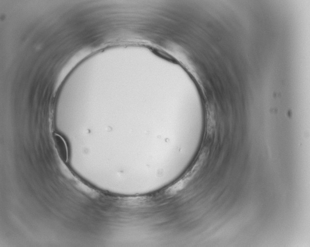 X0000070381390200606301910