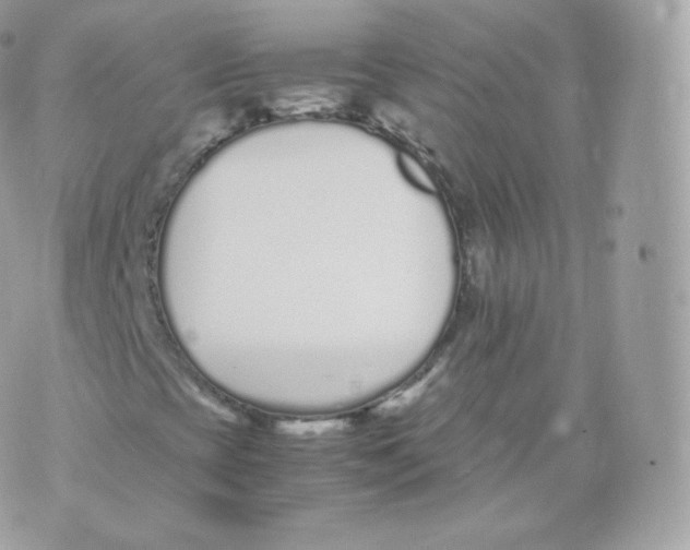 X0000070381393200606301909