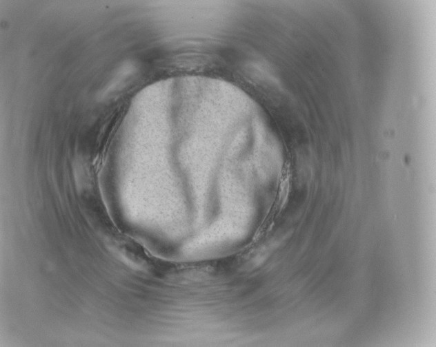 X0000070381394200606301909