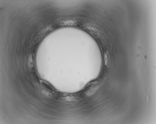 X0000070381395200606301909