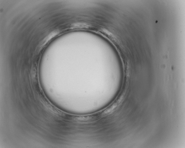 X0000070381401200606301910