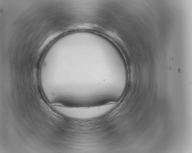 X0000070381404200606301910