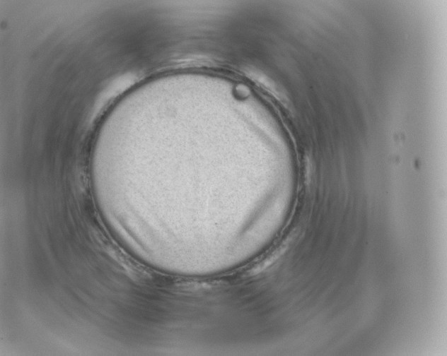 X0000070381405200606301910