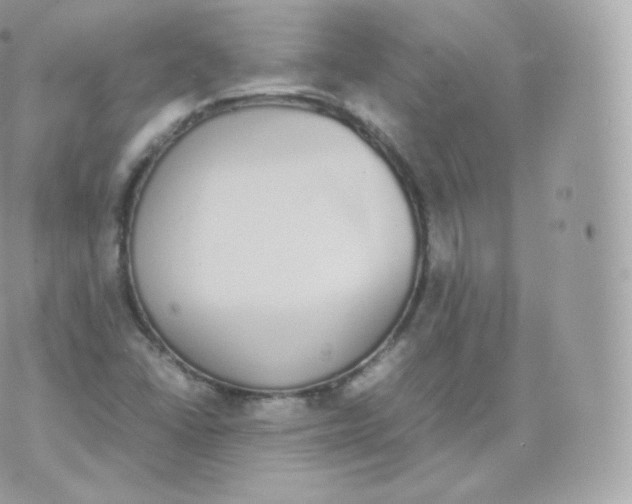 X0000070381406200606301910