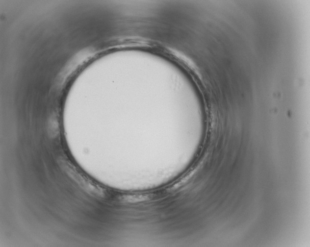 X0000070381407200606301910