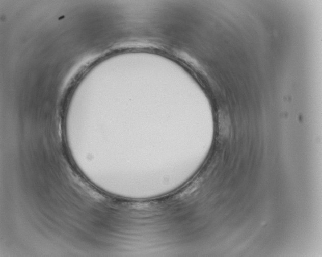 X0000070381408200606301910