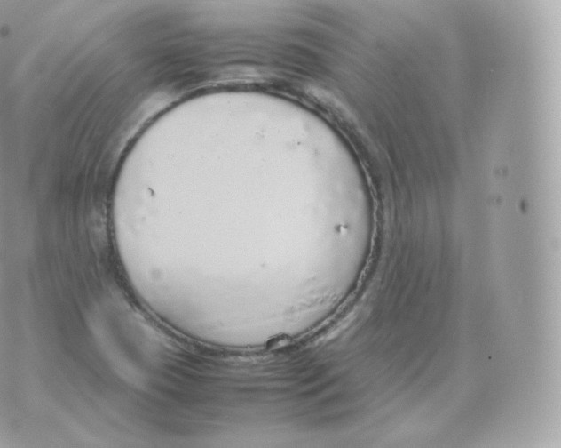 X0000070381409200606301910