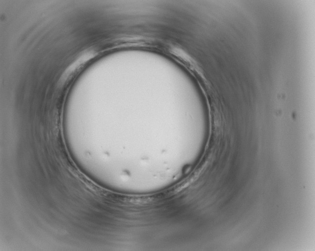 X0000070381411200606301910