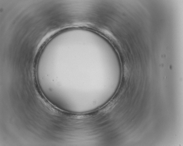 X0000070381412200606301910