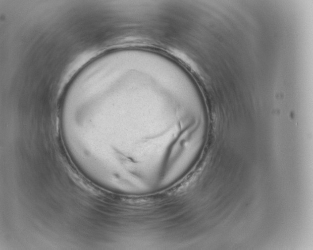 X0000070381413200606301910