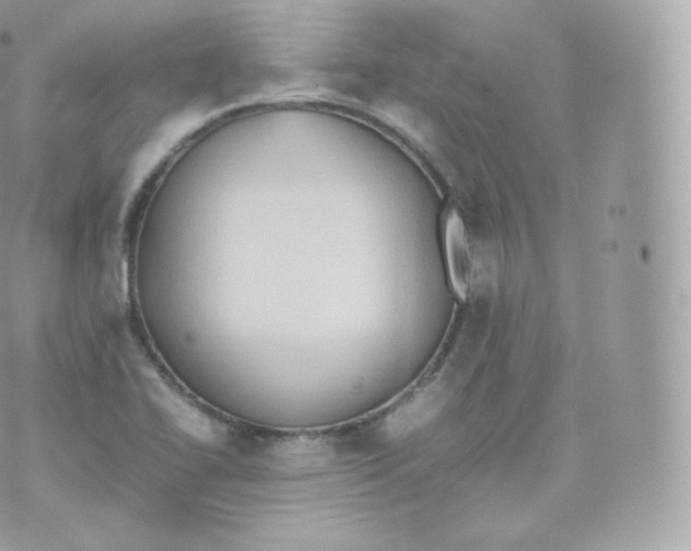 X0000070381414200606301910