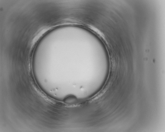 X0000070381415200606301910