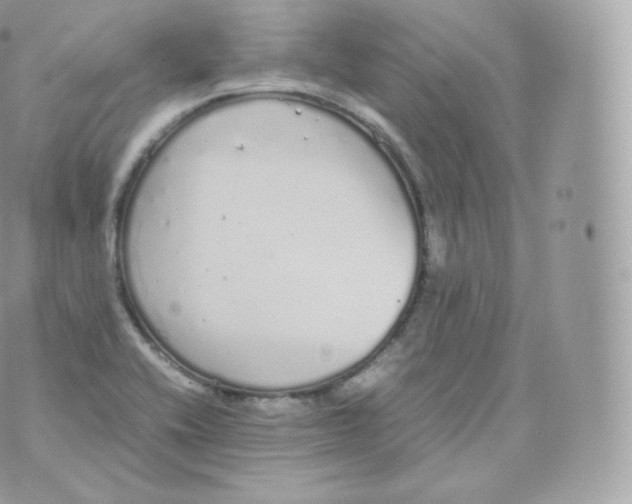 X0000070381416200606301910