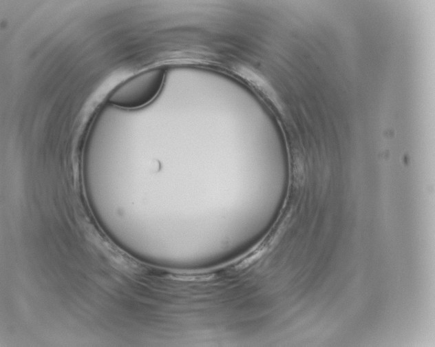 X0000070381419200606301910