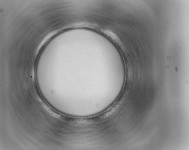 X0000070381420200606301910