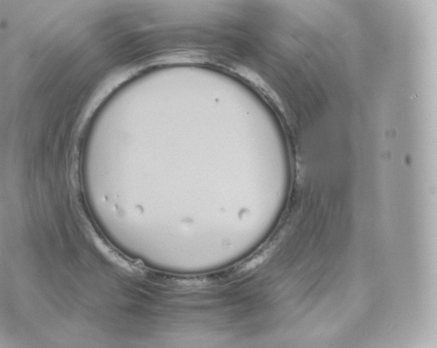 X0000070381421200606301910