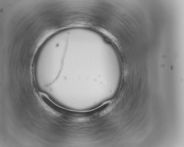 X0000070381423200606301910