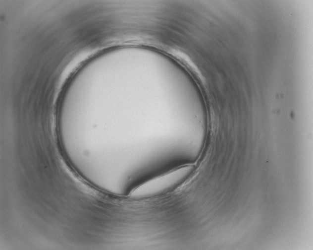 X0000070381424200606301910