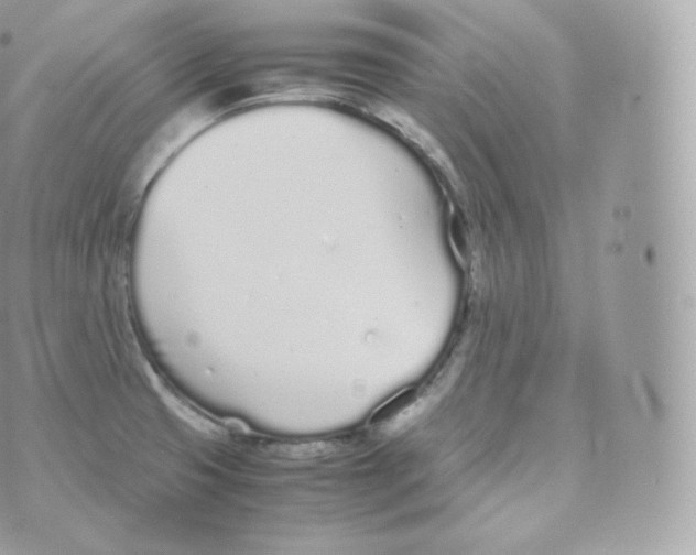 X0000070381425200606301910