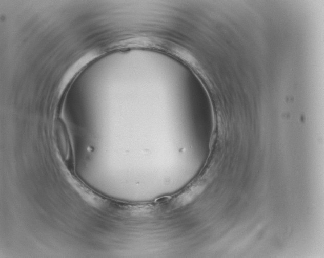 X0000070381426200606301910