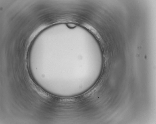 X0000070381427200606301910