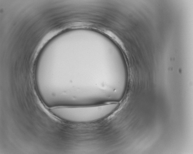 X0000070381429200606301910