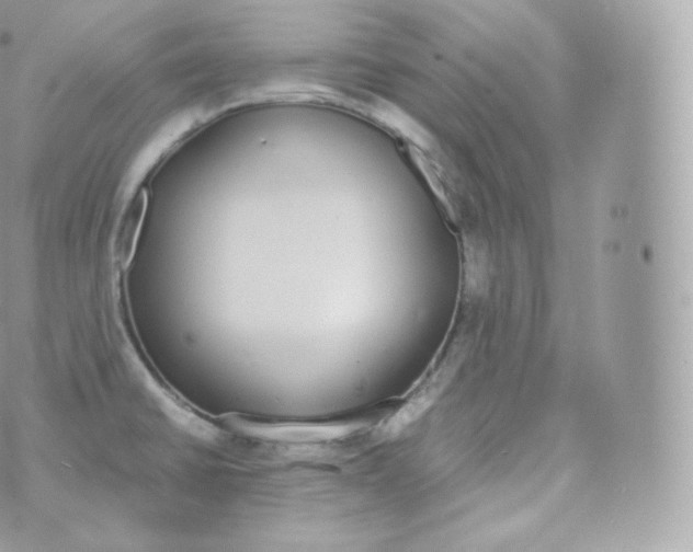 X0000070381430200606301910