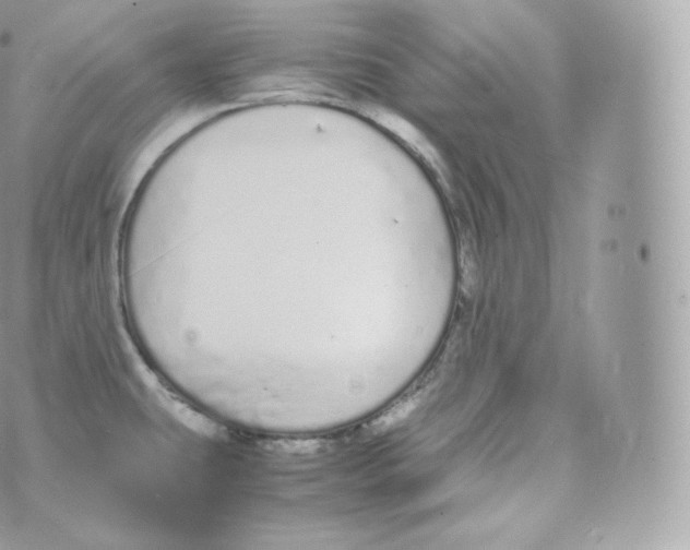 X0000070381431200606301910