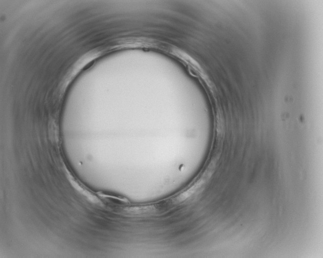 X0000070381433200606301910