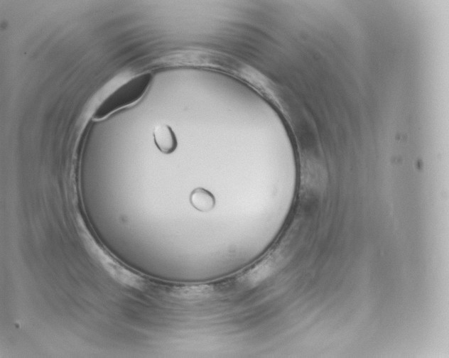 X0000070381434200606301910