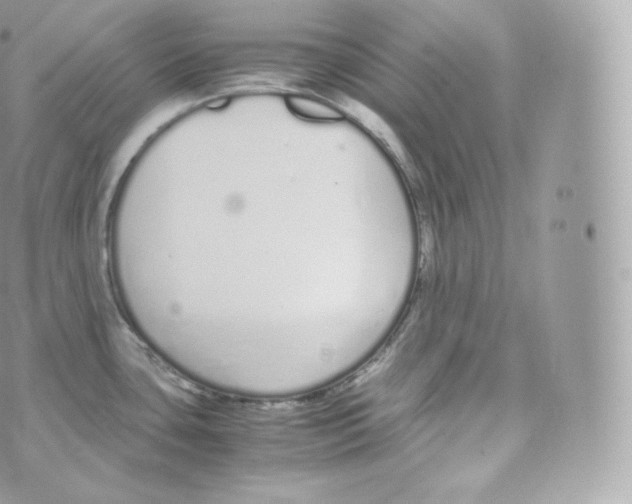 X0000070381435200606301910