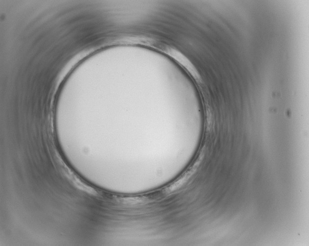 X0000070381436200606301910