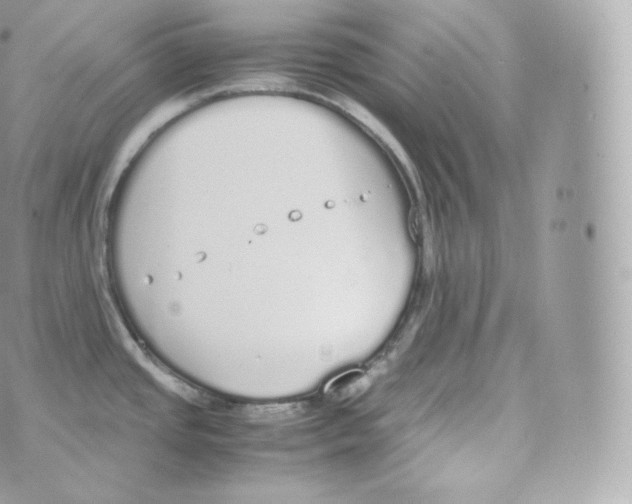 X0000070381437200606301910