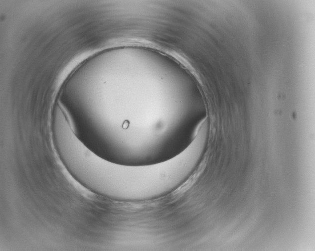 X0000070381438200606301910