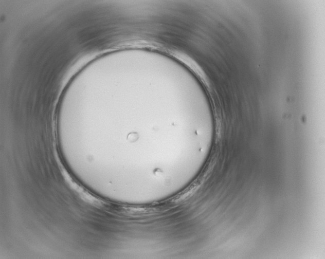 X0000070381439200606301910