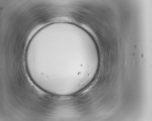 X0000070381440200606301910