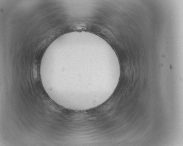 X0000070381442200606301909