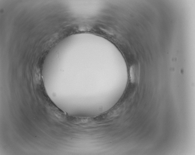 X0000070381443200606301909