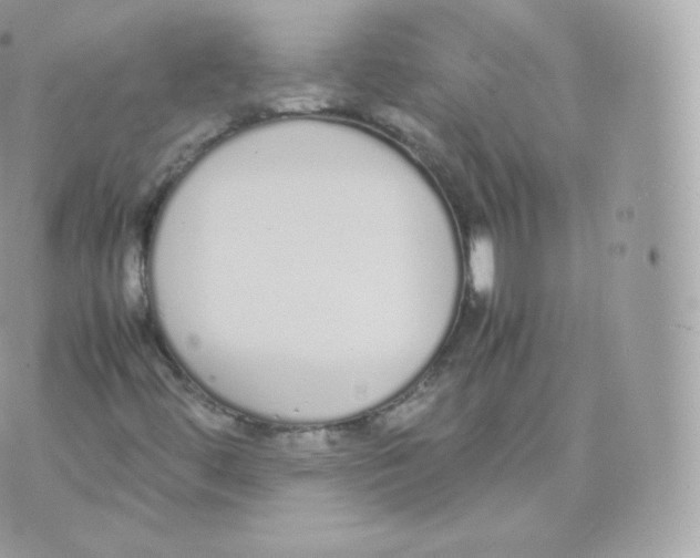 X0000070381444200606301909