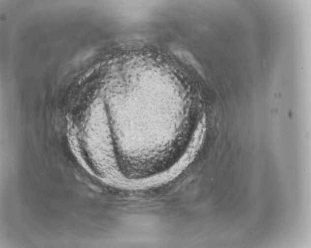 X0000070381445200606301909